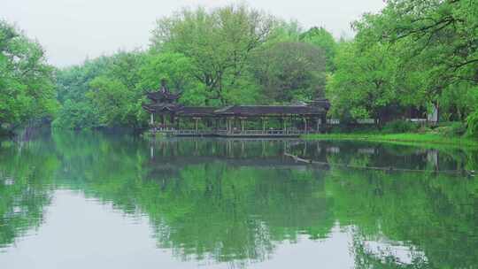 江南西湖浴鹄湾春天春雨中的亭台楼阁水榭