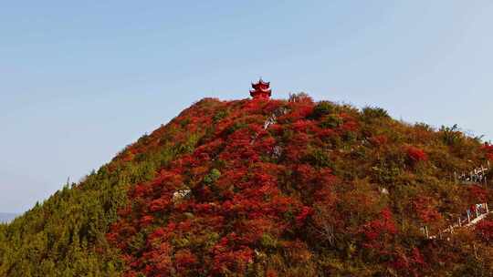 长江三峡巫峡红叶