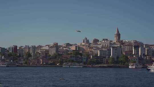 高清4k土耳其伊斯坦布尔塔海鸥海鸟海峡