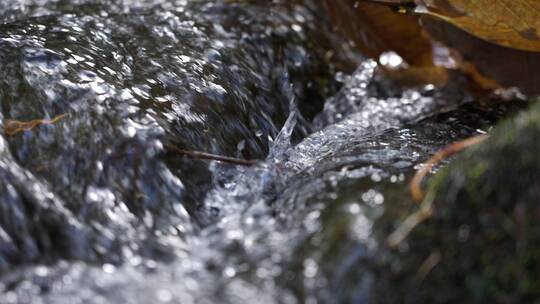 清澈的溪流水源慢镜头视频素材模板下载