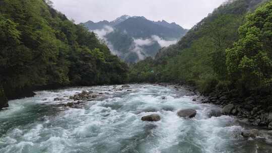 山林间水流湍急的自然景观