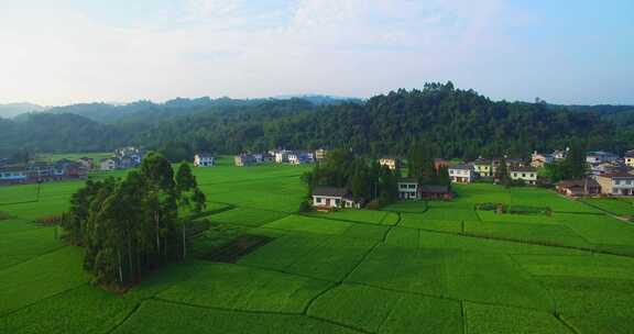 四川农村美丽风景稻田存村庄蓝天白云