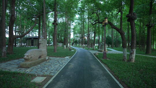 武汉东湖生态旅游风景区