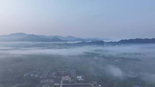 茶园清晨平流雾航拍视频素材模板下载