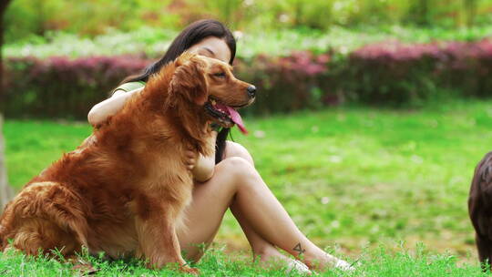 美女和金毛犬在夏天公园里玩耍