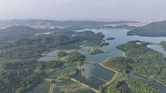 东莞市同沙生态水库公园航拍