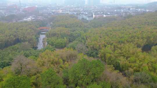 杭州植物园春天风景视频素材