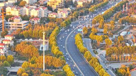 秋天城市马路车流