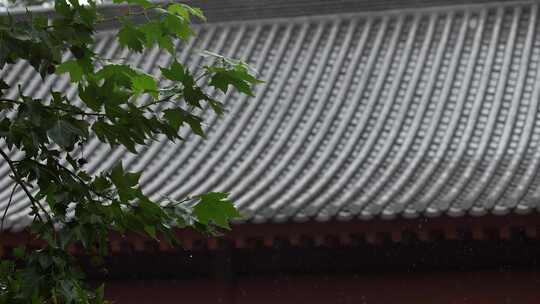 古建筑屋檐下雨空镜头大雨小雨雨季谷雨惊蛰