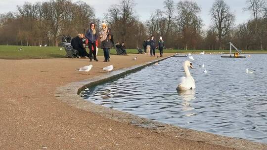 游客在公园池塘边散步