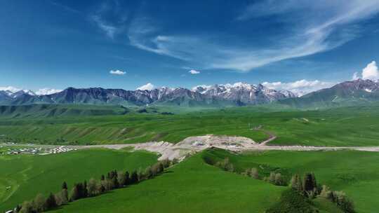 新疆伊犁唐布拉百里画廊草原森林雪山