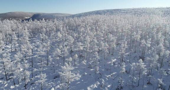 零下40多度的低温航拍大兴安岭冰雪雾凇