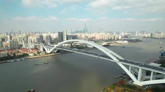 上海卢浦大桥航拍视频素材模板下载