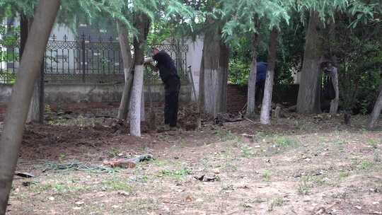 工人在施工园林挖坑种树