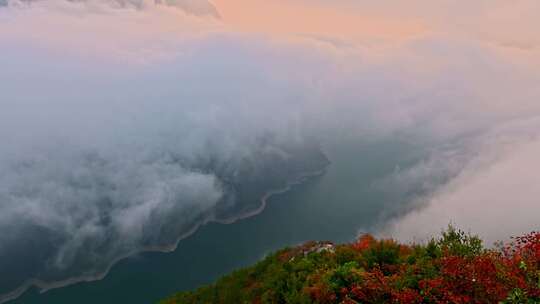 三峡红叶