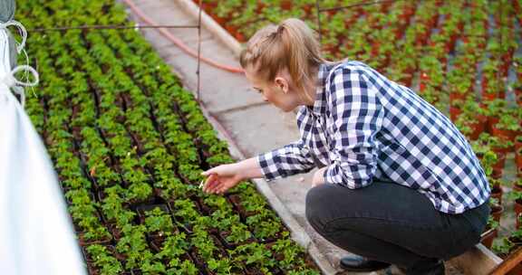 女人蹲下来检查温室里的植物