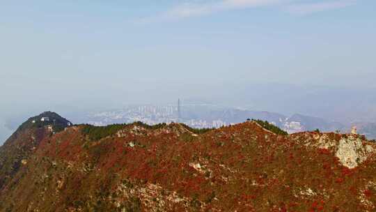 长江三峡巫峡红叶