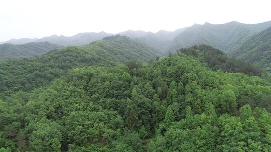 航拍 大山 植被 森林 生态