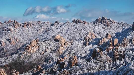 青岛崂山雪景崂山雾凇