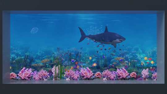 鲜艳色彩4K海底鲨鱼