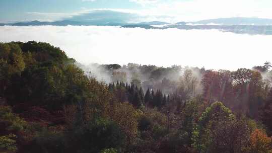 山云雾生态大自然晨雾山川山林雾航拍森林