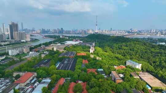 湖北武汉月湖龟山电视塔汉江琴台大剧院风景