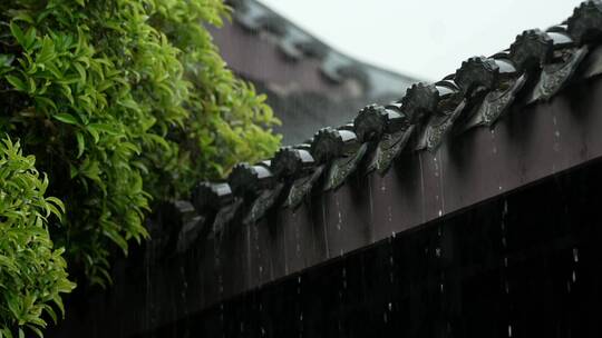 杭州下雨天古建筑屋檐视频素材模板下载