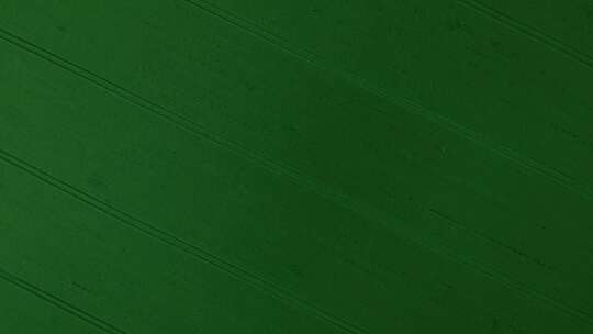 一片绿色的田野视频素材模板下载