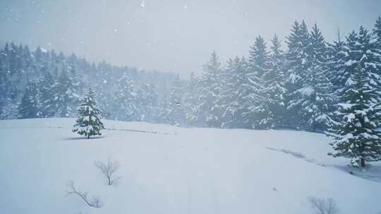 下雪、雪地、户外雪景