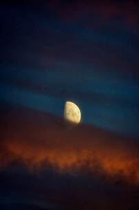 重生的雕像 哲学 重生 雕像 灵魂 觉