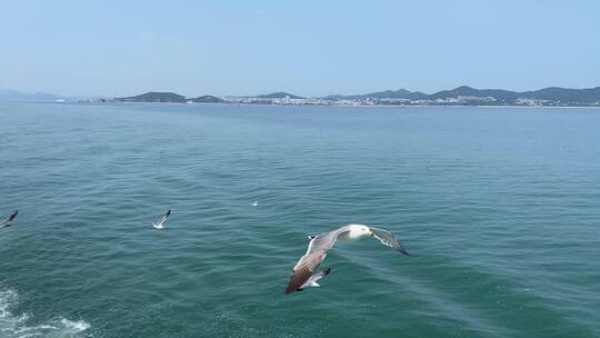 山东4A级景区长岛，海上旅游风光无限