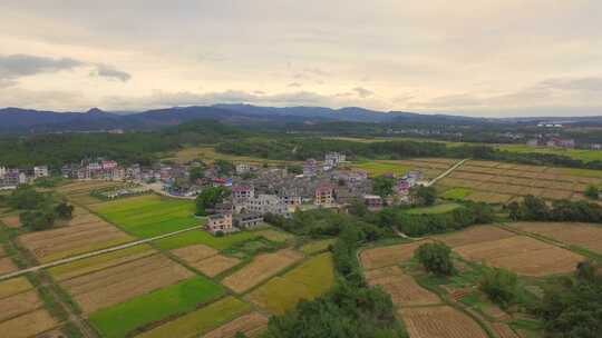 雷家古村6