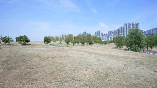 武汉江夏区黄家湖湿地公园