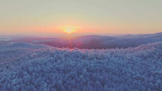 航拍大兴安岭根河冬日梦幻绝美雾凇雪凇视频素材模板下载