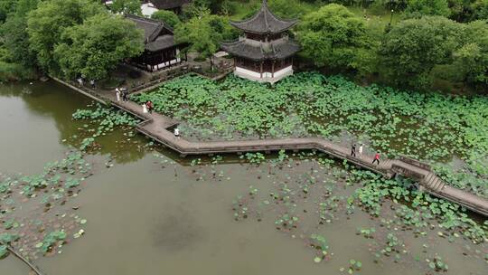 航拍杭州湘湖风景，荷花池