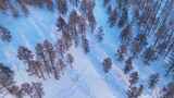 航拍雪原松林风景高清在线视频素材下载