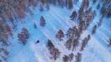 航拍雪原松林风景高清在线视频素材下载