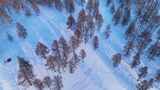 航拍雪原松林风景高清在线视频素材下载