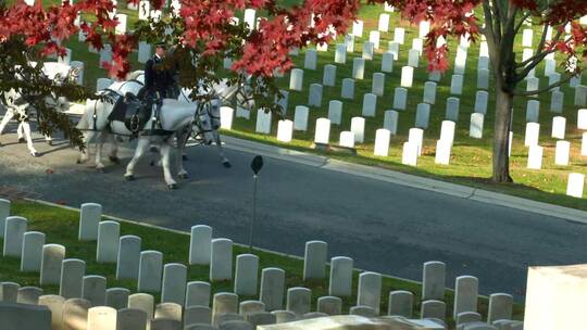 华盛顿的军事葬礼视频素材模板下载