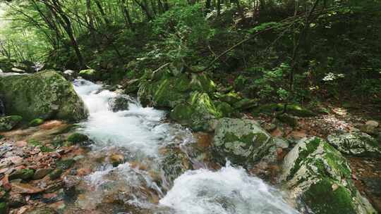 辽宁本溪夏季森林瀑布水流风景