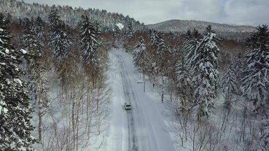 日本北海道大雪山国家公园森林公路