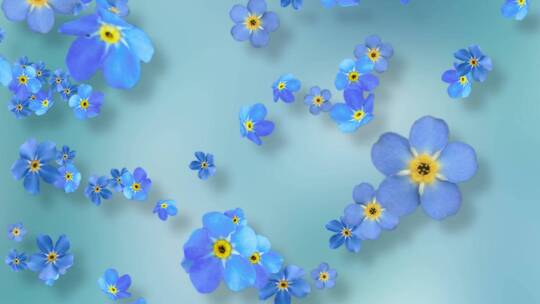 蓝色花朵视频素材模板下载