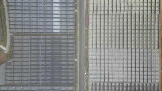 现代农业大棚种植基地航拍