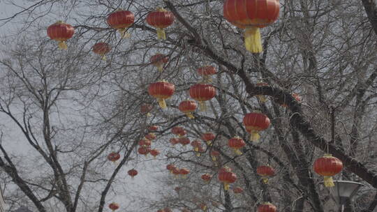 北京街头年味  胡同新年氛围