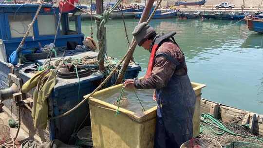 烟台大黑山岛，码头上渔民打渔归来海鲜收获