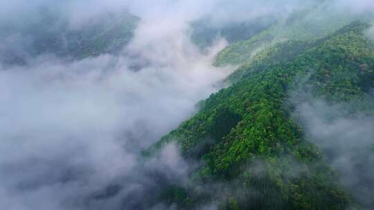 航拍山川云雾森林自然风光大气片头风景视频