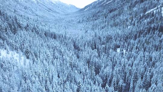 雪山 震撼航拍