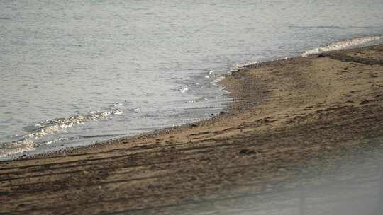 海滩沙滩海岸海水