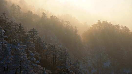 南太行伏牛山雪景雾凇云海自然风光