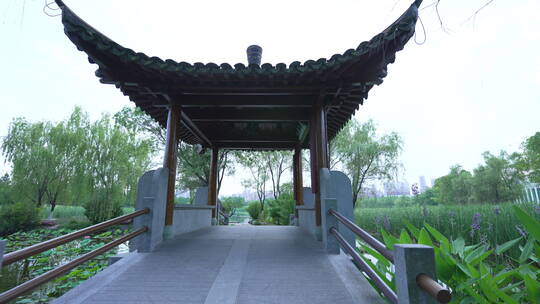 武汉硚口区园博园杭州园风景视频素材模板下载